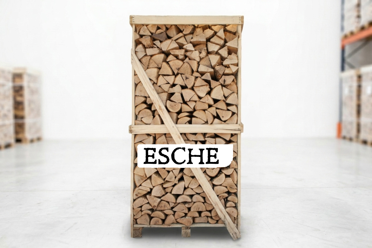 Brennholz Palette - Esche - 30/33 cm - kammergetrocknet - 2 RM